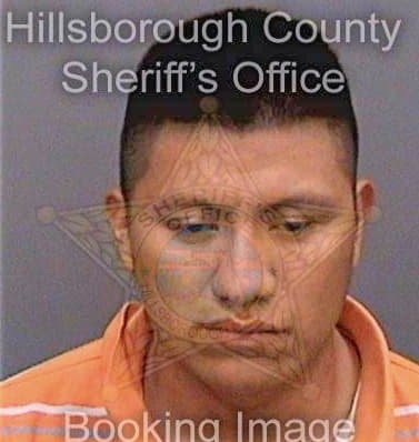 Mendezhernandez Manuel - Hillsborough County, FL 