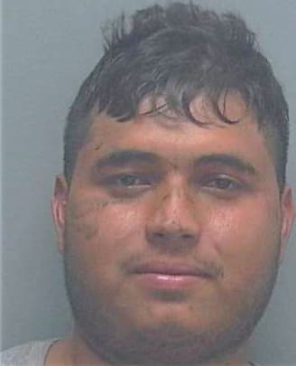 Vargas Miguel - Lee County, FL 