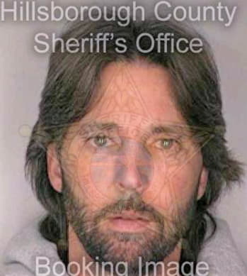Mcdaniel Martin - Hillsborough County, FL 