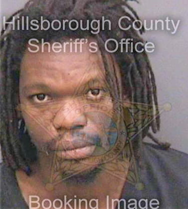 Jorge Gogotso - Hillsborough County, FL 