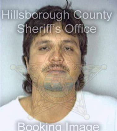 Jaramillo Jose - Hillsborough County, FL 