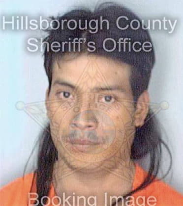 Vasquez Humberto - Hillsborough County, FL 