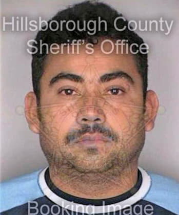 Merlos Luis - Hillsborough County, FL 