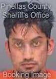 Pandey Nishant - Pinellas County, FL 