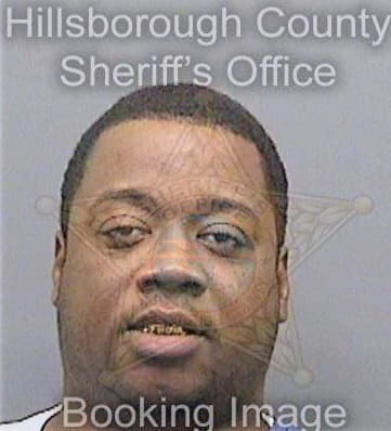 Christian Ronald - Hillsborough County, FL 