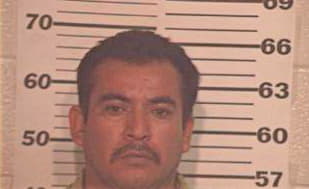 Hernandez Roy - Hidalgo County, TX 