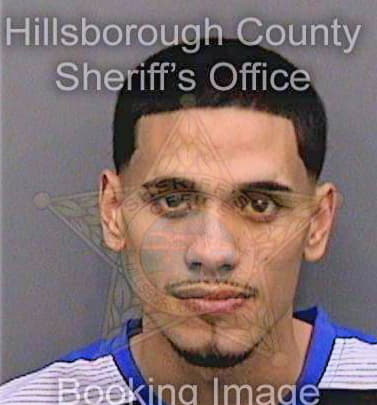 Jimenez Jaime - Hillsborough County, FL 