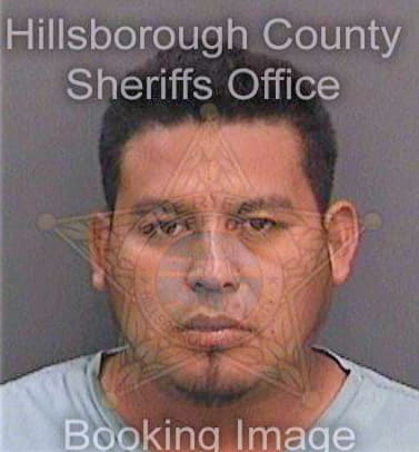 Hernandezgonzalez Rocendo - Hillsborough County, FL 