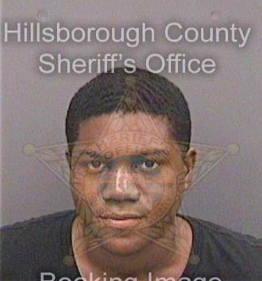 Mcmillan Dimitri - Hillsborough County, FL 