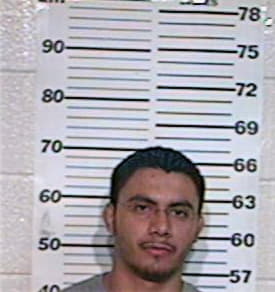 Mejia Joel - Hidalgo County, TX 