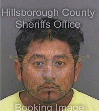 Pinadominguez Luis - Hillsborough County, FL 