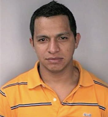 Gomez Walberto - Hillsborough County, FL 