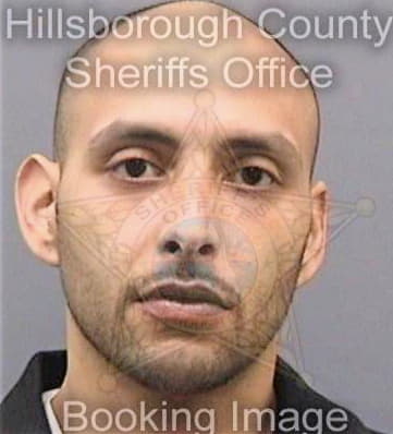 Vega Jason - Hillsborough County, FL 