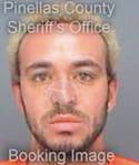 Andersen Julian - Pinellas County, FL 