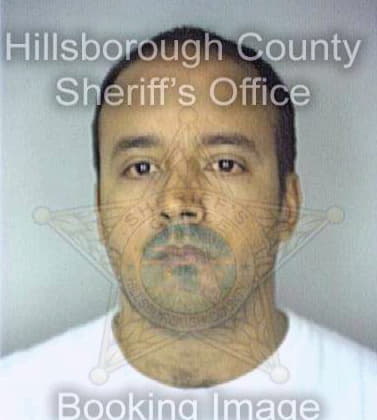 Hernandez Ricardo - Hillsborough County, FL 