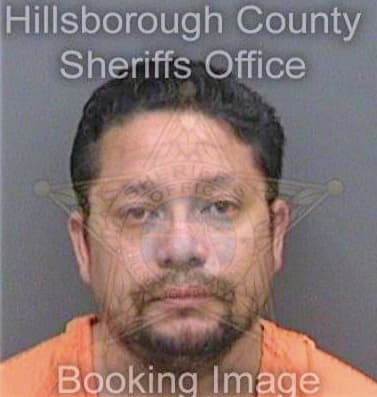 Tellez Winston - Hillsborough County, FL 