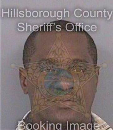 Stewart Michael - Hillsborough County, FL 