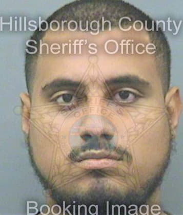 Gutierrez Antonio - Hillsborough County, FL 