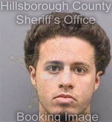 Gonzalez David - Hillsborough County, FL 