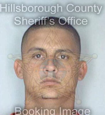 Thomas Christopher - Hillsborough County, FL 