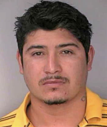 Jimenez Sergio - Hillsborough County, FL 