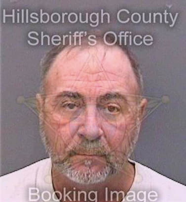 Meehan Edward - Hillsborough County, FL 