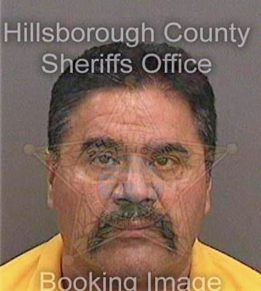 Tellez Enrique - Hillsborough County, FL 