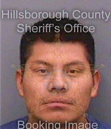 Gomezruiz Francisco - Hillsborough County, FL 