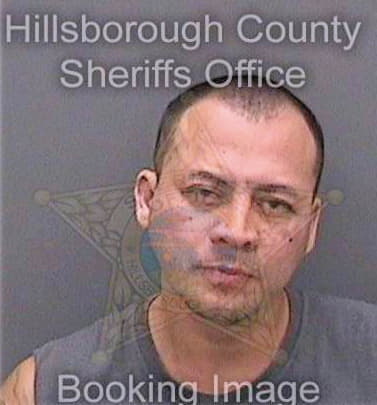 Martinezpineda Erick - Hillsborough County, FL 