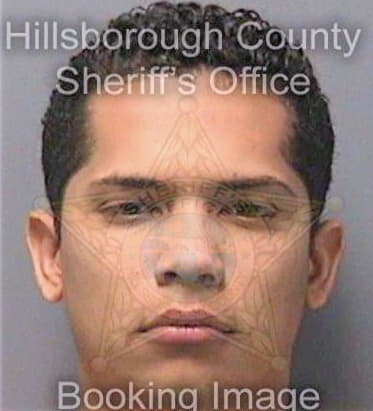 Gonzalezgarcia Ronald - Hillsborough County, FL 