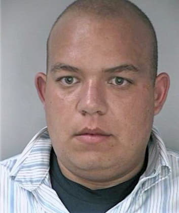 Meza Josueth - Hillsborough County, FL 