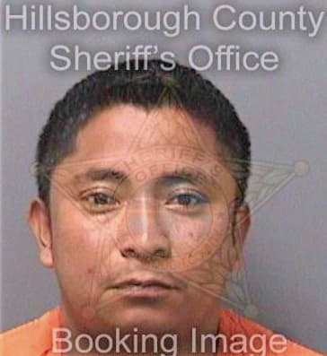 Lastorhernandez Sergio - Hillsborough County, FL 