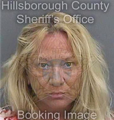 Deleary Shannon - Hillsborough County, FL 