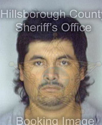 Delacruz Daniel - Hillsborough County, FL 