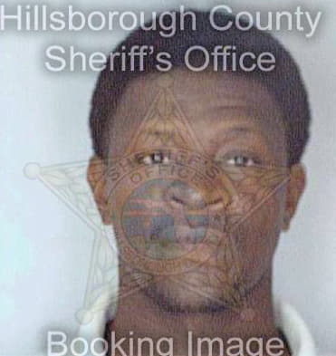 Mcintyre William - Hillsborough County, FL 