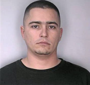 Skeens Nicholas - Hillsborough County, FL 