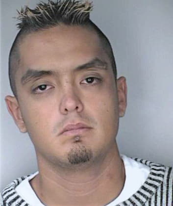 Gonzalez Marcelo - Hillsborough County, FL 