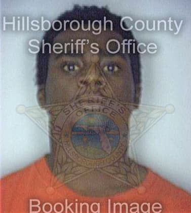 Davis Henry - Hillsborough County, FL 