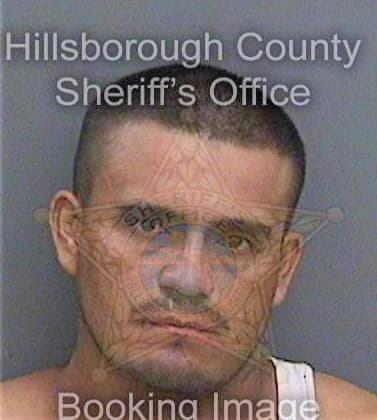 Suarez Fidencio - Hillsborough County, FL 