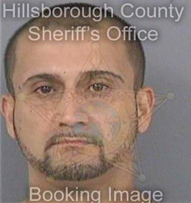 Figueroa Reinaldo - Hillsborough County, FL 