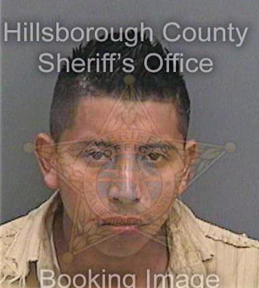 Tornerosilvestre Omar - Hillsborough County, FL 