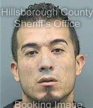 Jimenez Dennis - Hillsborough County, FL 