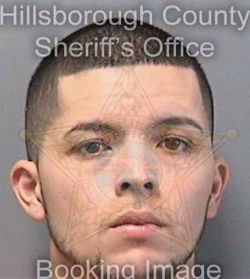 Espinoza Ivan - Hillsborough County, FL 