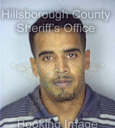 Navarez Roberto - Hillsborough County, FL 