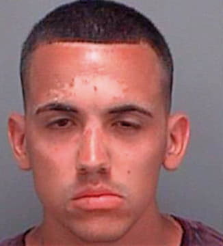 Rodriguez Daniel - Pinellas County, FL 