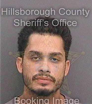 Ferrerahurtado Frank - Hillsborough County, FL 