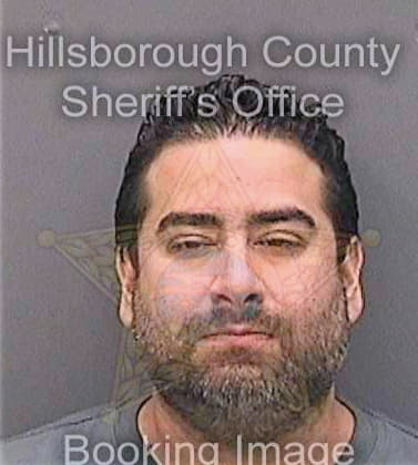 Mendoza Hector - Hillsborough County, FL 