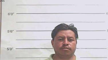 Velasquez Marcos - Orleans County, LA 