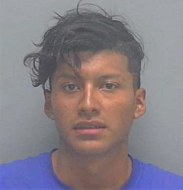 Soto--Gonzalez Kevin - Lee County, FL 