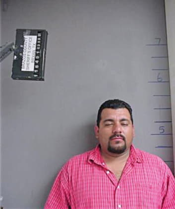 Alvarado John - Brazos County, TX 